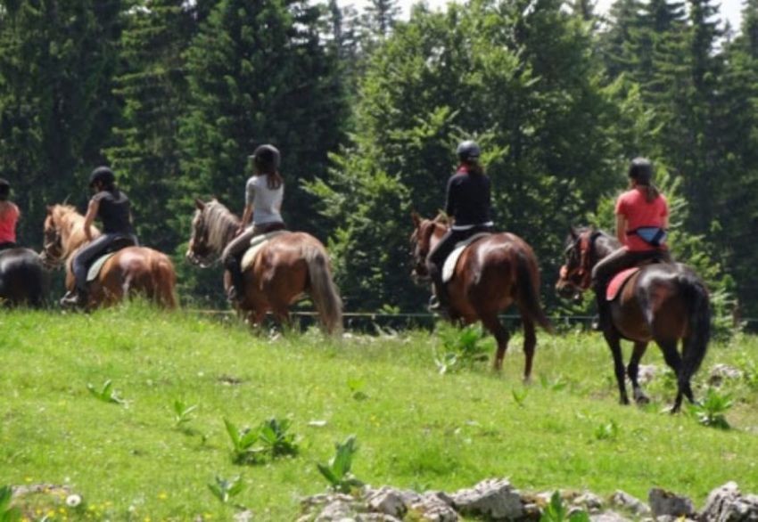 Le Ranch de la Seignette