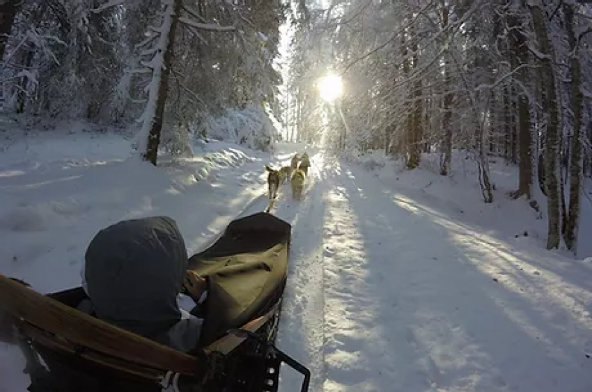 Les Attelages de la roche percée sur le Mont D'Or